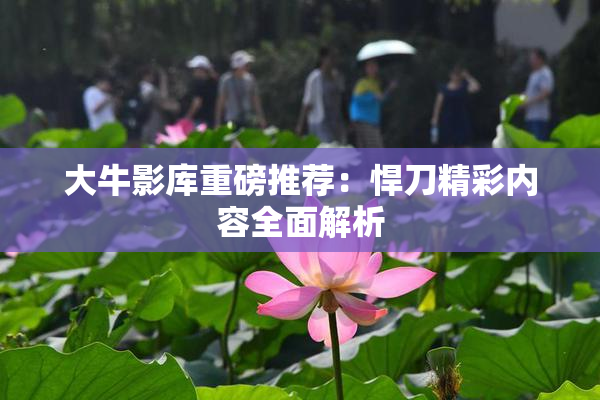 大牛影库重磅推荐：悍刀精彩内容全面解析