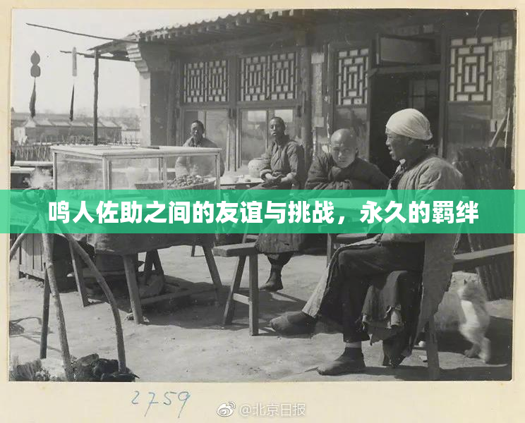 鸣人佐助之间的友谊与挑战，永久的羁绊