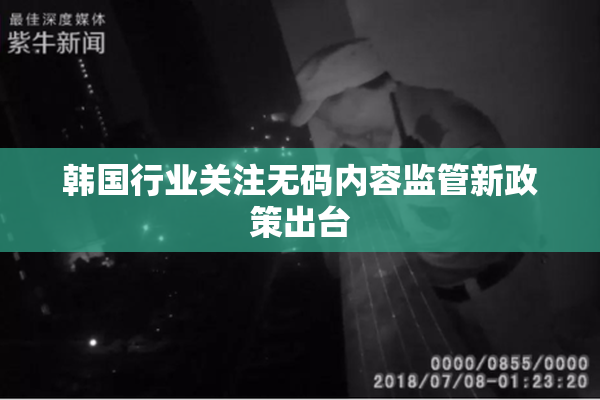 韩国行业关注无码内容监管新政策出台