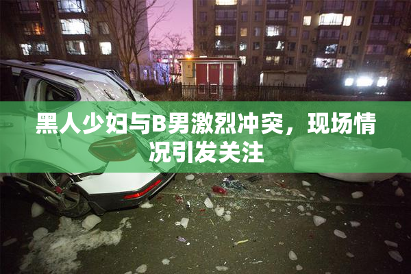 黑人少妇与B男激烈冲突，现场情况引发关注