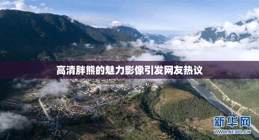 高清胖熊的魅力影像引发网友热议