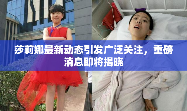 莎莉娜最新动态引发广泛关注，重磅消息即将揭晓