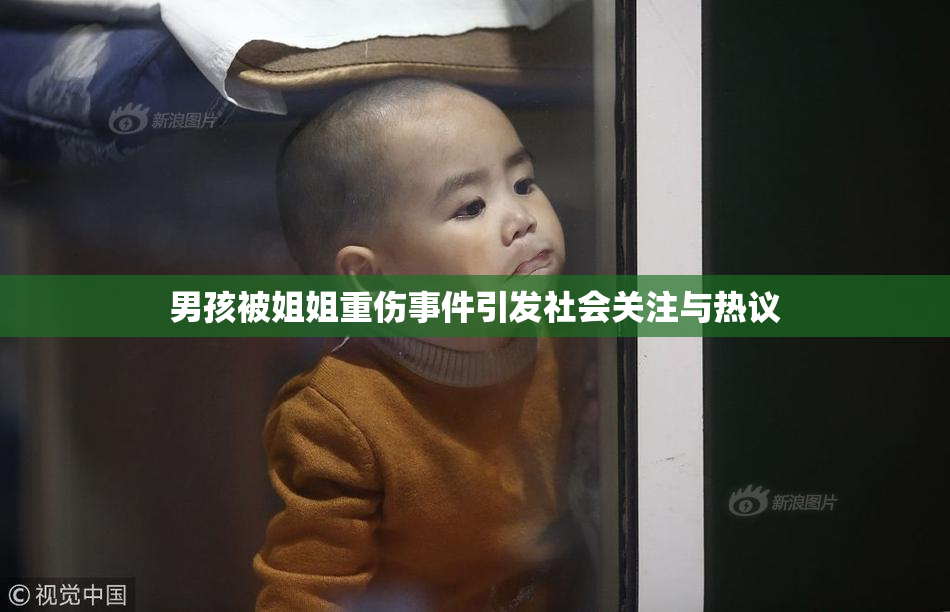 男孩被姐姐重伤事件引发社会关注与热议