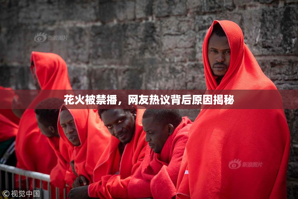 花火被禁播，网友热议背后原因揭秘