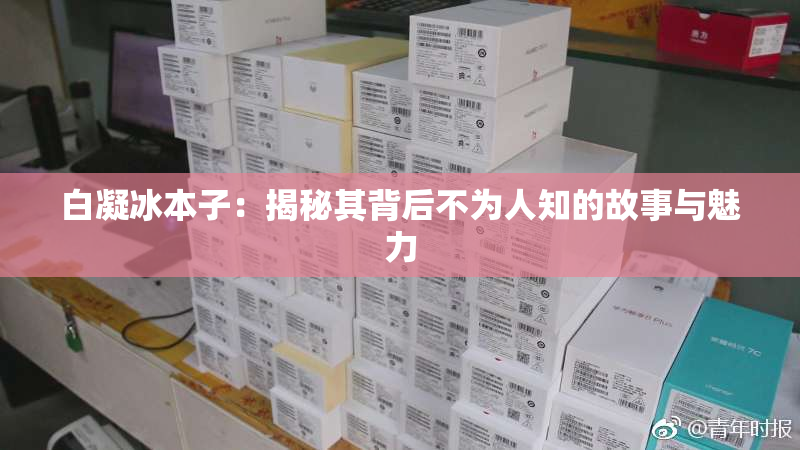 白凝冰本子：揭秘其背后不为人知的故事与魅力