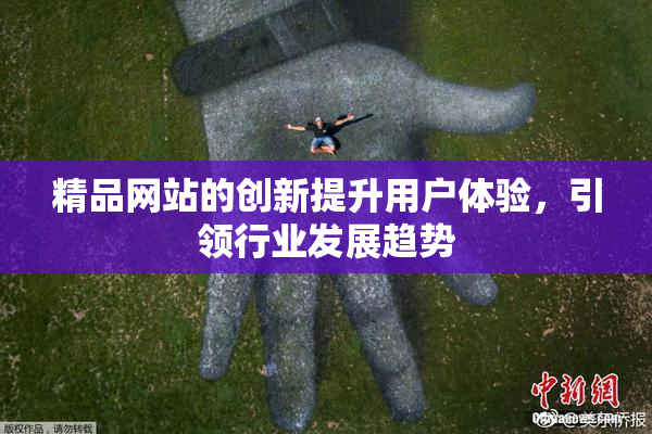 精品网站的创新提升用户体验，引领行业发展趋势