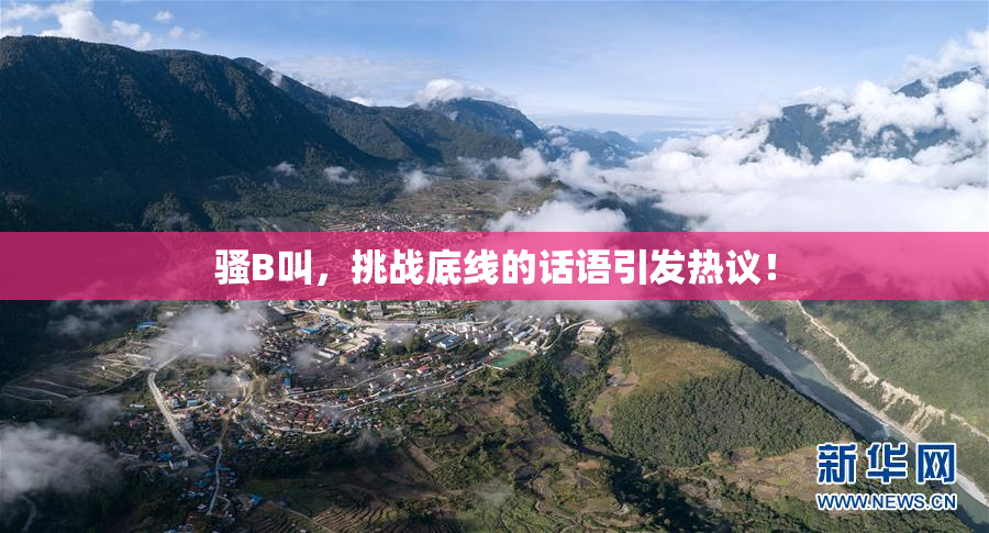 骚B叫，挑战底线的话语引发热议！