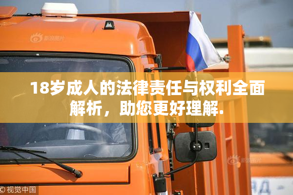 18岁成人的法律责任与权利全面解析，助您更好理解.