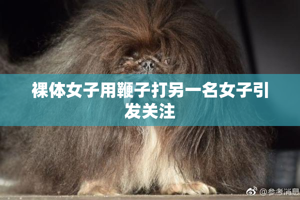 裸体女子用鞭子打另一名女子引发关注