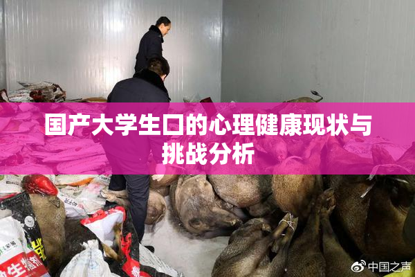 国产大学生囗的心理健康现状与挑战分析
