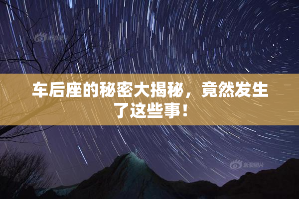 车后座的秘密大揭秘，竟然发生了这些事！