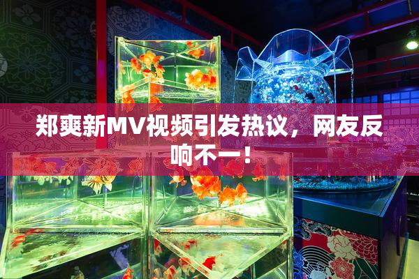 郑爽新MV视频引发热议，网友反响不一！