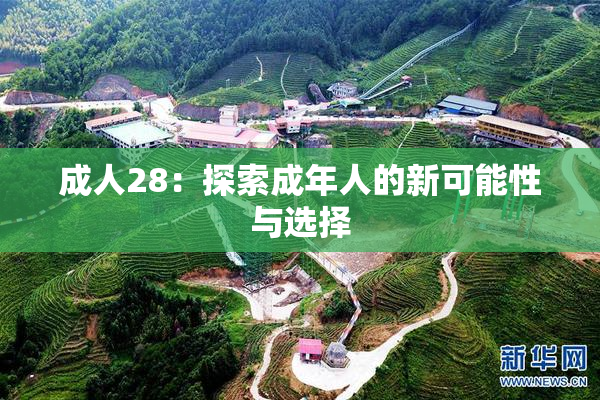 成人28：探索成年人的新可能性与选择