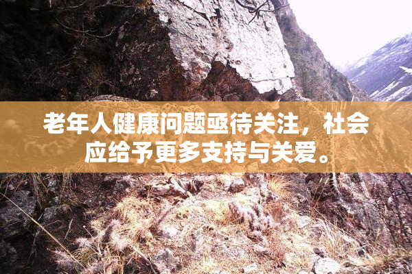 老年人健康问题亟待关注，社会应给予更多支持与关爱。