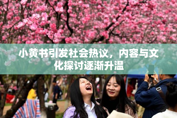 小黄书引发社会热议，内容与文化探讨逐渐升温