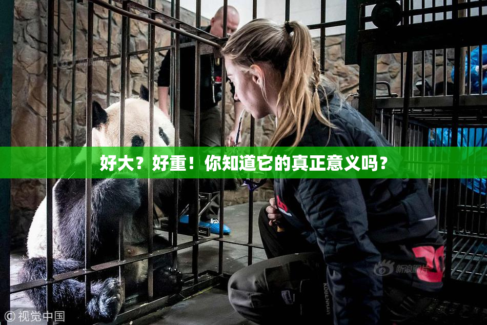 好大？好重！你知道它的真正意义吗？