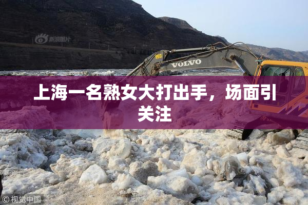 上海一名熟女大打出手，场面引关注