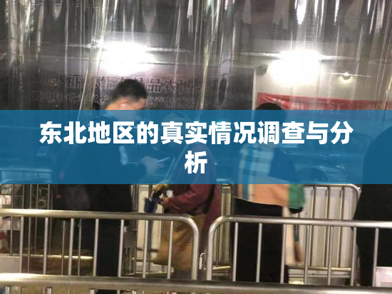 东北地区的真实情况调查与分析