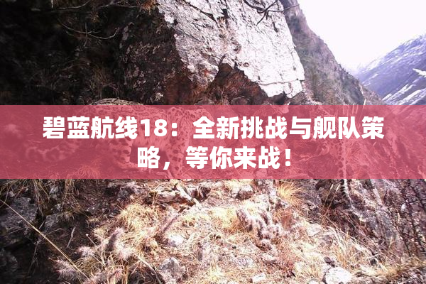 碧蓝航线18：全新挑战与舰队策略，等你来战！