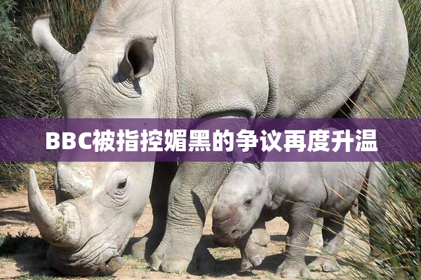 BBC被指控媚黑的争议再度升温