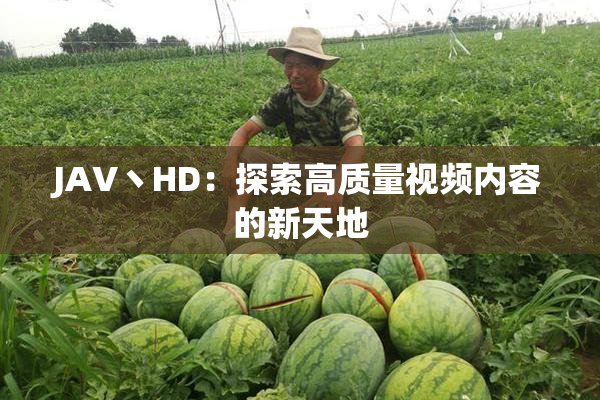 JAV丶HD：探索高质量视频内容的新天地