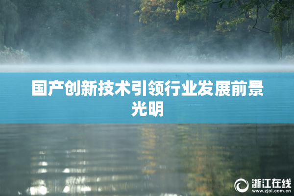 国产创新技术引领行业发展前景光明