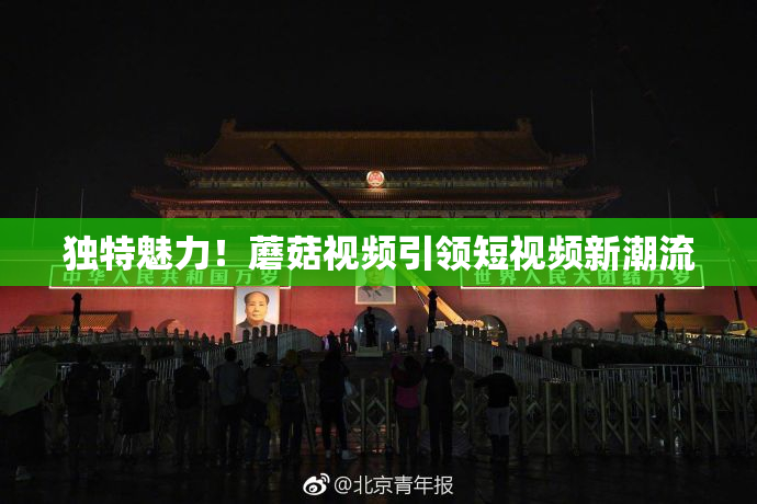 独特魅力！蘑菇视频引领短视频新潮流