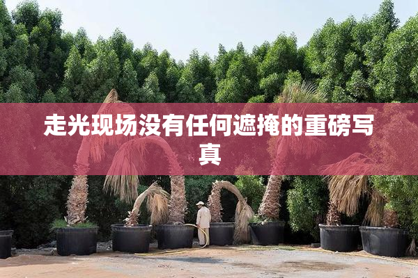 走光现场没有任何遮掩的重磅写真