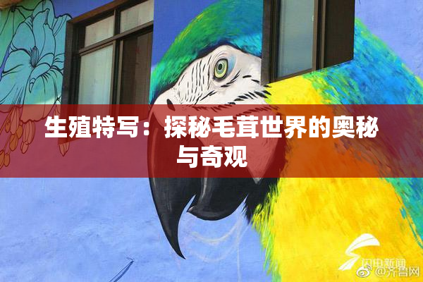 生殖特写：探秘毛茸世界的奥秘与奇观