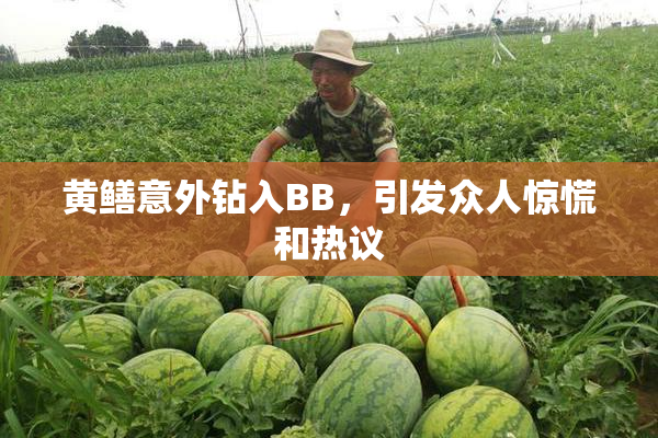 黄鳝意外钻入BB，引发众人惊慌和热议
