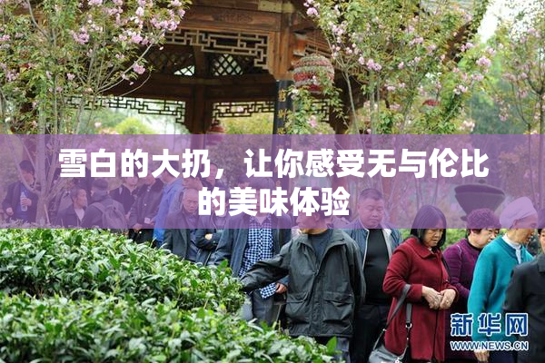 雪白的大扔，让你感受无与伦比的美味体验
