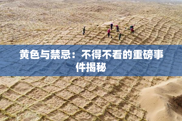 黄色与禁忌：不得不看的重磅事件揭秘