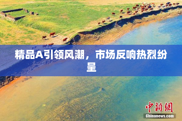 精品A引领风潮，市场反响热烈纷呈