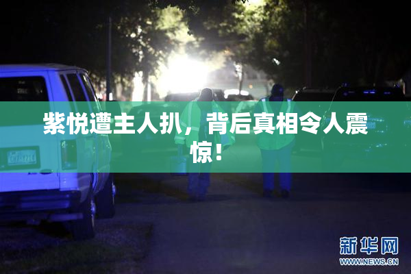 紫悦遭主人扒，背后真相令人震惊！
