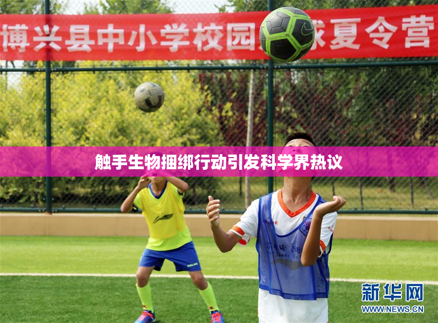 触手生物捆绑行动引发科学界热议
