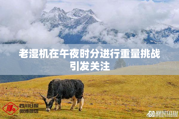 老湿机在午夜时分进行重量挑战引发关注