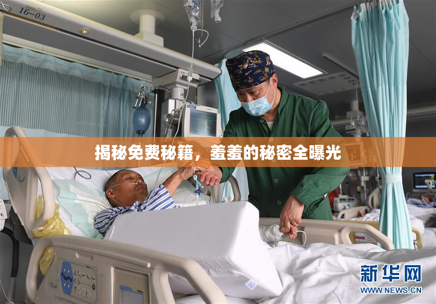 揭秘免费秘籍，羞羞的秘密全曝光
