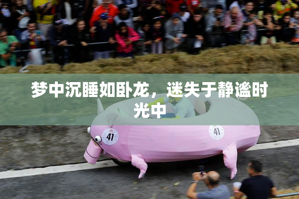 梦中沉睡如卧龙，迷失于静谧时光中