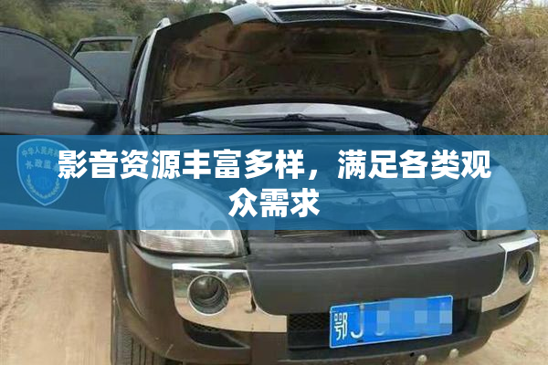 影音资源丰富多样，满足各类观众需求
