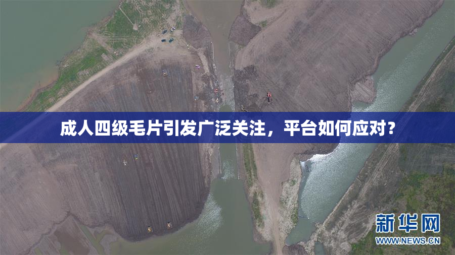 成人四级毛片引发广泛关注，平台如何应对？