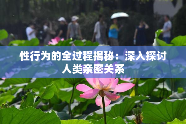 性行为的全过程揭秘：深入探讨人类亲密关系