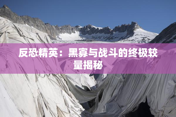 反恐精英：黑寡与战斗的终极较量揭秘