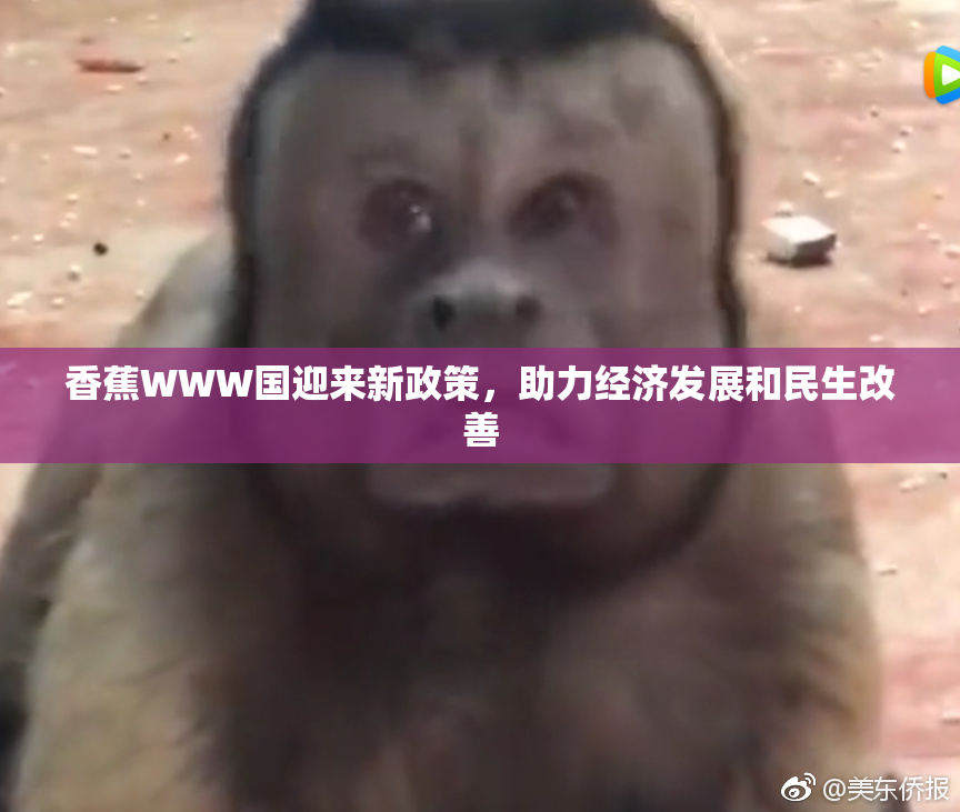 香蕉WWW国迎来新政策，助力经济发展和民生改善