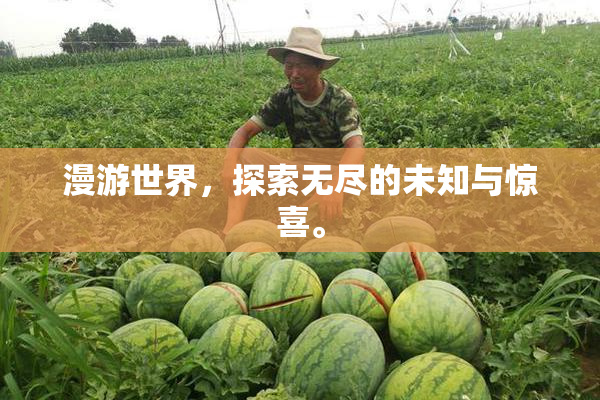 漫游世界，探索无尽的未知与惊喜。