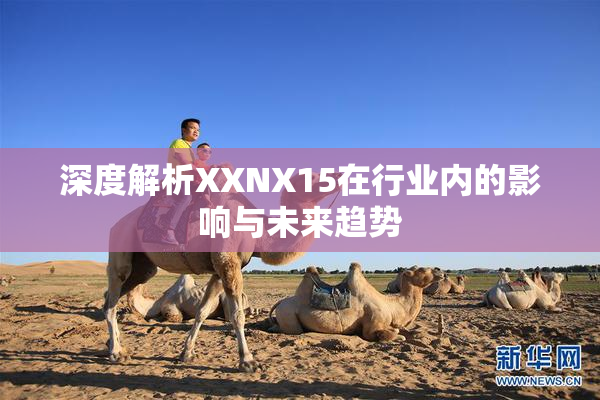 深度解析XXNX15在行业内的影响与未来趋势