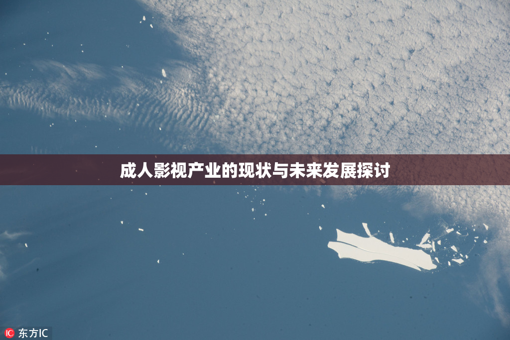 成人影视产业的现状与未来发展探讨