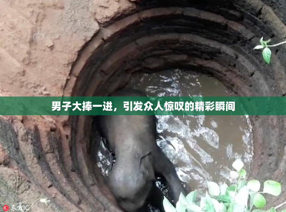 男子大捧一进，引发众人惊叹的精彩瞬间