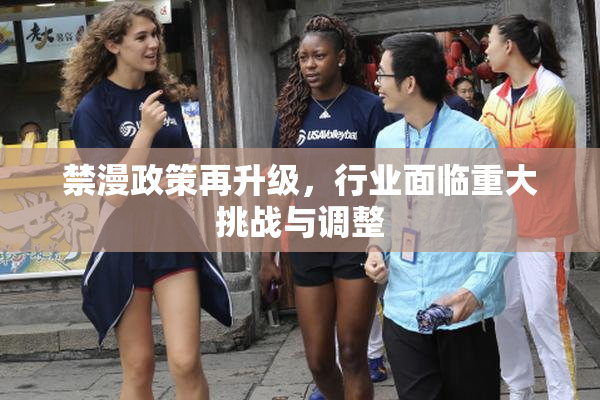 禁漫政策再升级，行业面临重大挑战与调整