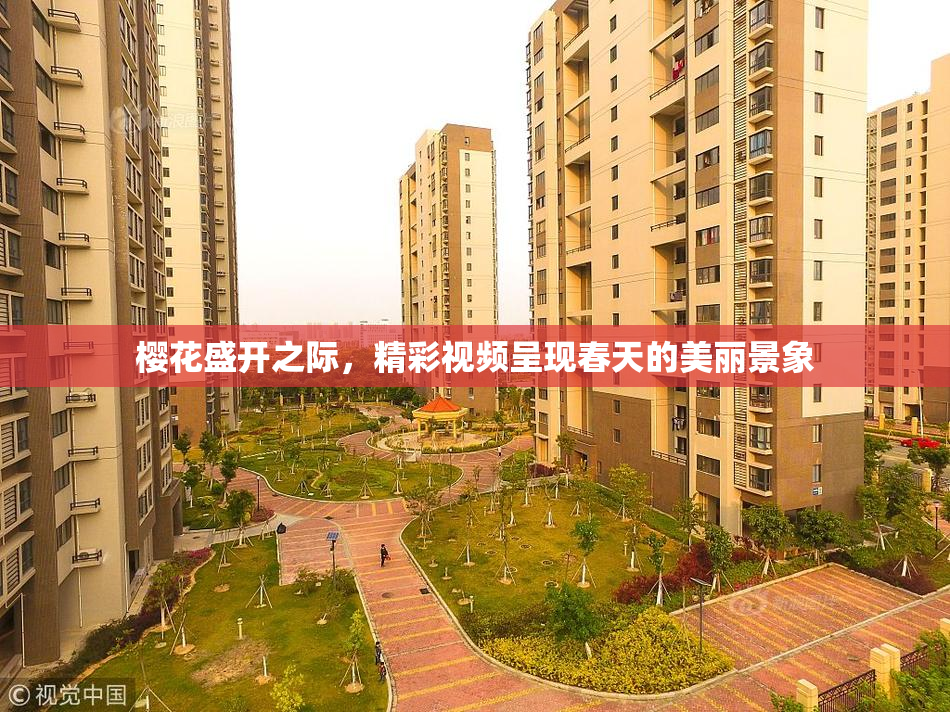 樱花盛开之际，精彩视频呈现春天的美丽景象