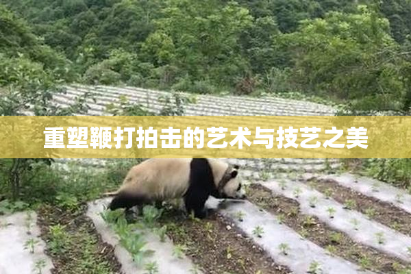 重塑鞭打拍击的艺术与技艺之美
